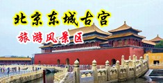尿尿特写黑丝足交特写漫画中国北京-东城古宫旅游风景区